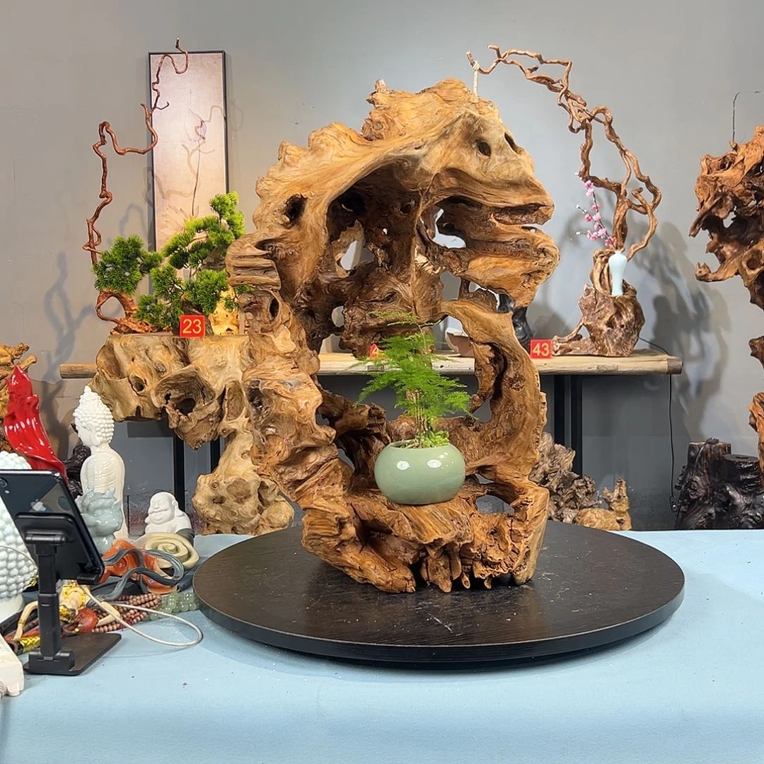 小***狗香榧木根雕摆件5555555