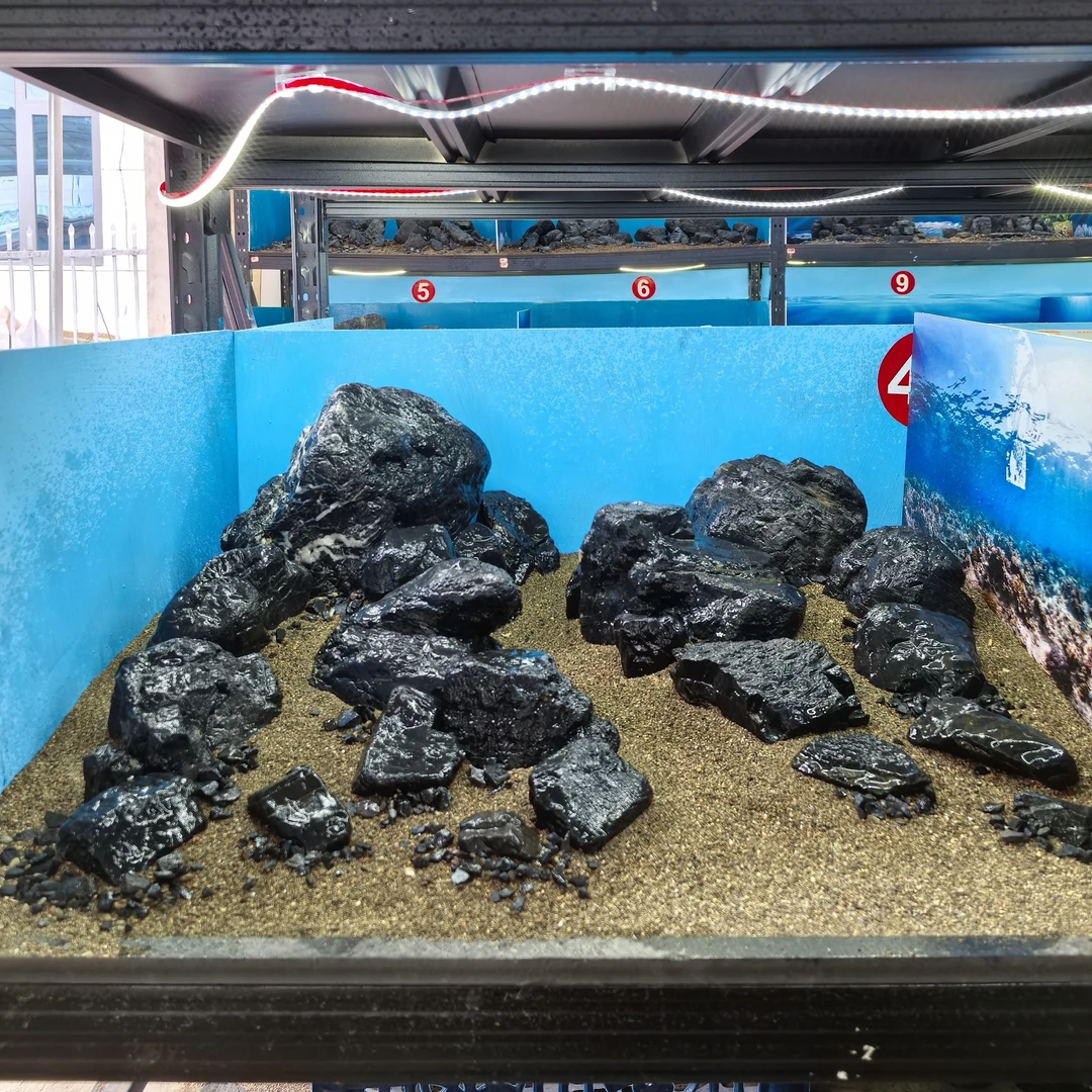 【鱼缸造景】黑金峡谷溪流石适合60方缸（一物一拍）