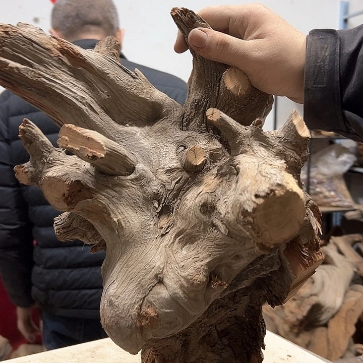 柏木古**香我们的生活也是如此的