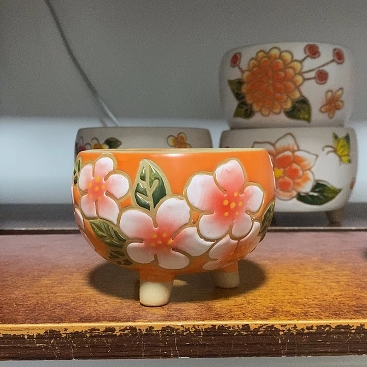 韩式多肉植物花盆
