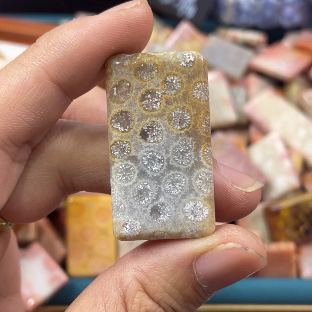 未镶嵌手镯硅化玉