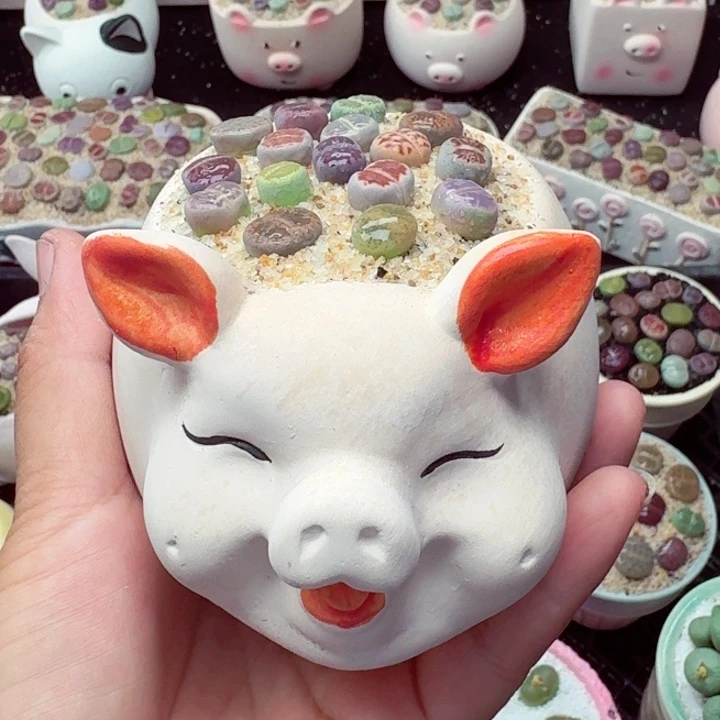 8019零下地区记得拍保温箱