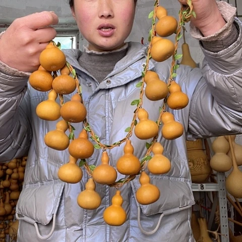 天然植物葫芦文玩