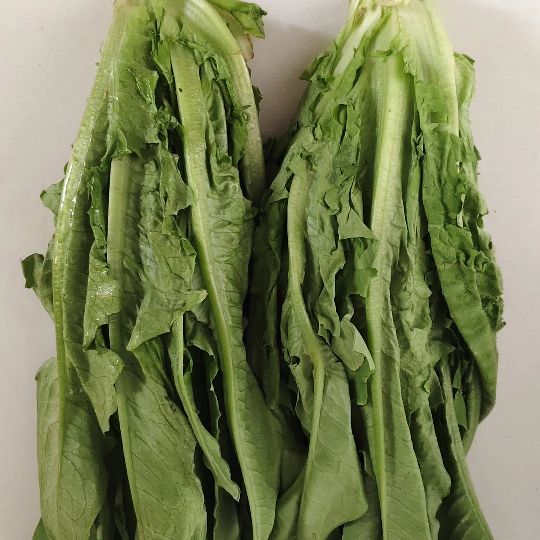 油麦菜一公斤油麦菜