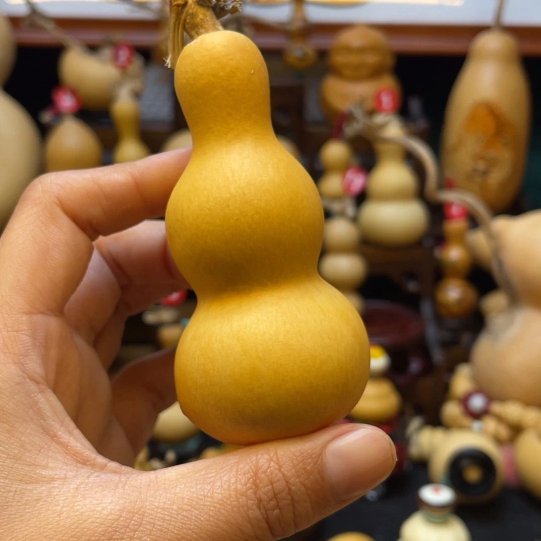 巍***0葫芦等经济林木的分布在这里和