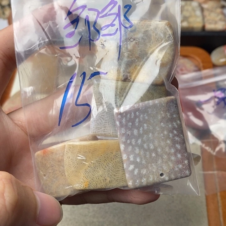 硅化玉颈饰足金镶嵌邹*