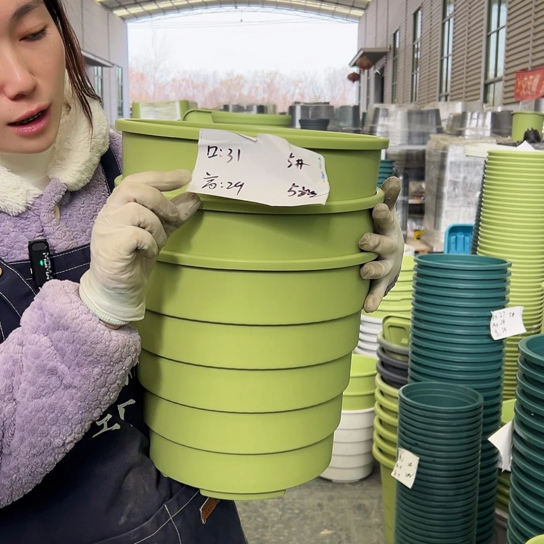 多孔盆5#果绿3个无托