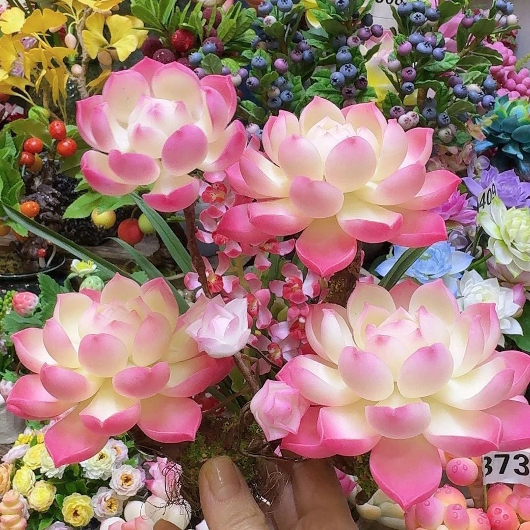 我也想去啊你不回来吃饭啦