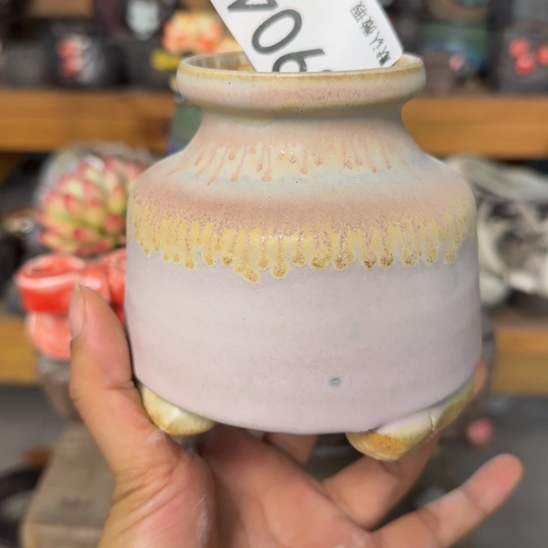 重庆小燕子欢迎大家904