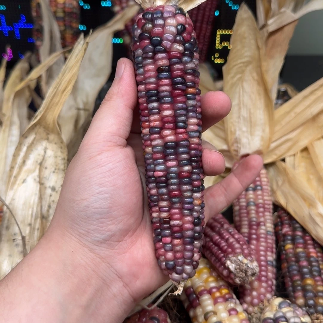 柏香籽/百香籽吊坠桃**肉