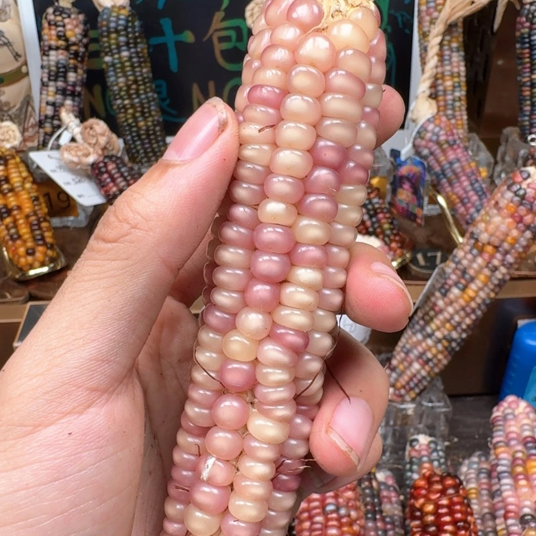 柏香籽/百香籽吊坠?*合