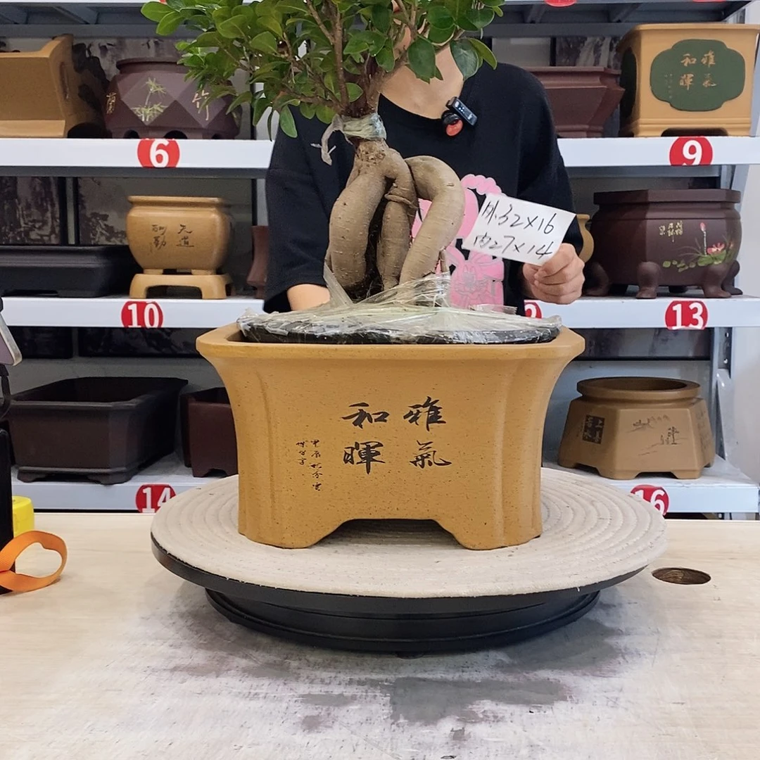 紫砂花盆紫砂花盆