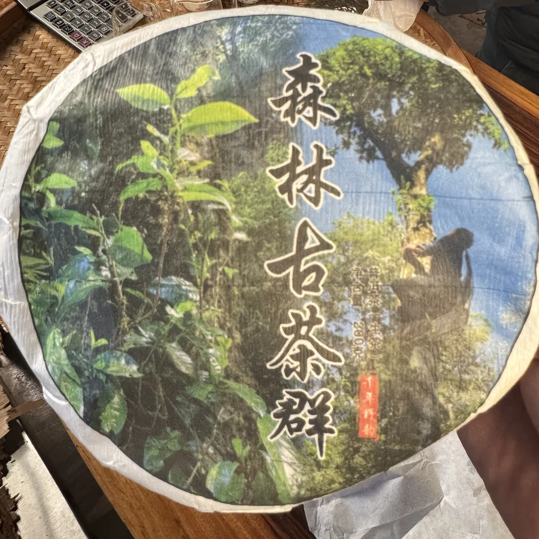 【105号】2-18  2023年  森林古树 饼茶  生茶  200g