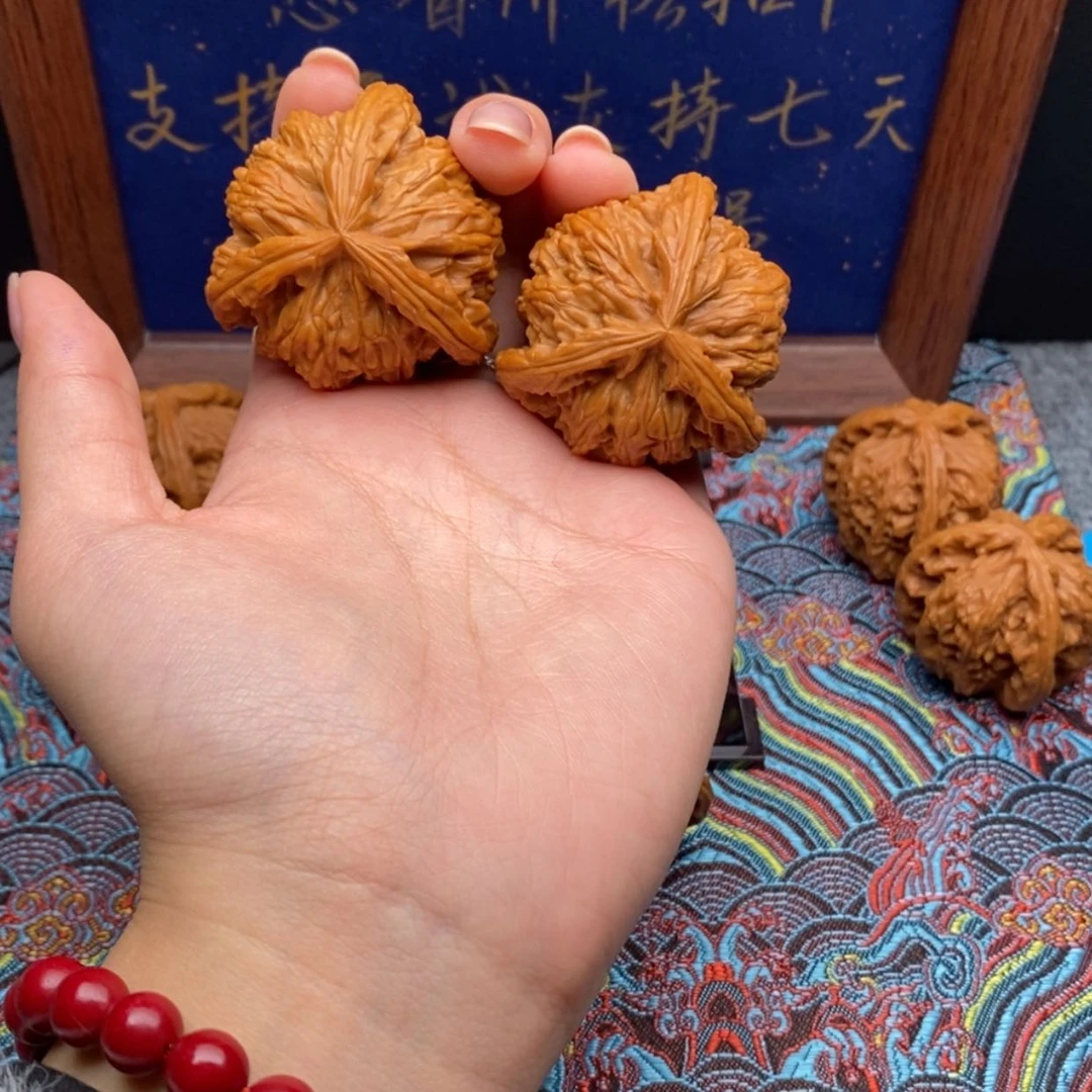 【闪购商品】海*白狮
