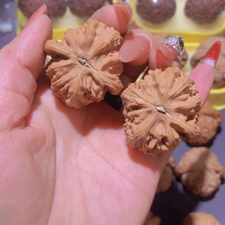 核桃手串/手链?*丽白狮子全品39尺