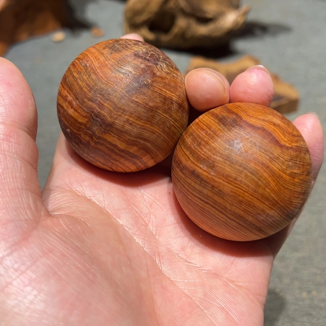 柏木（崖柏）北太行陈化崖柏