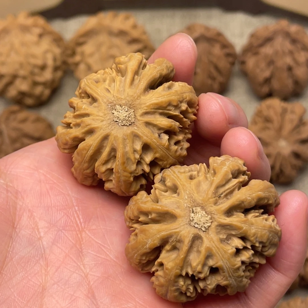 文玩核桃把件秦岭核桃7号