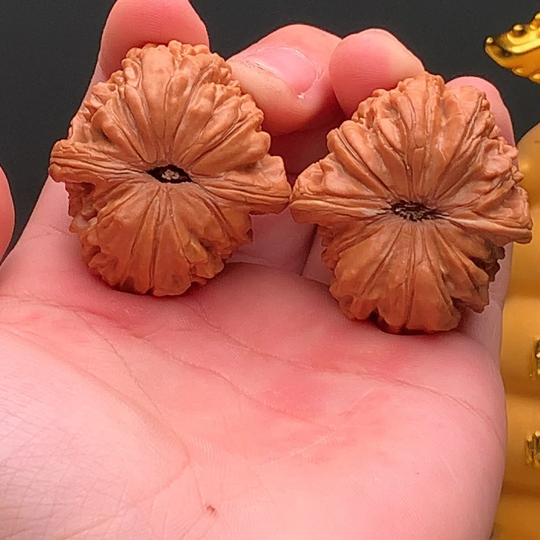 文玩过铁十八局哥哥哈哈哈