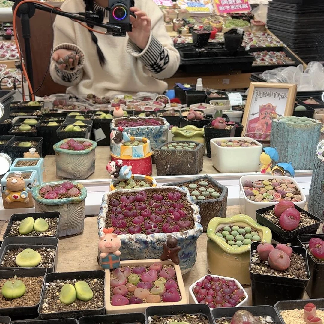 【闪购商品】大***糖水蜜桃2颗30元