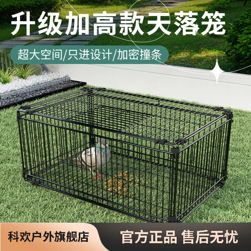 天落笼加密只进不出鸽子笼撞门笼活络门自动回收鸽子神器室外鸡笼