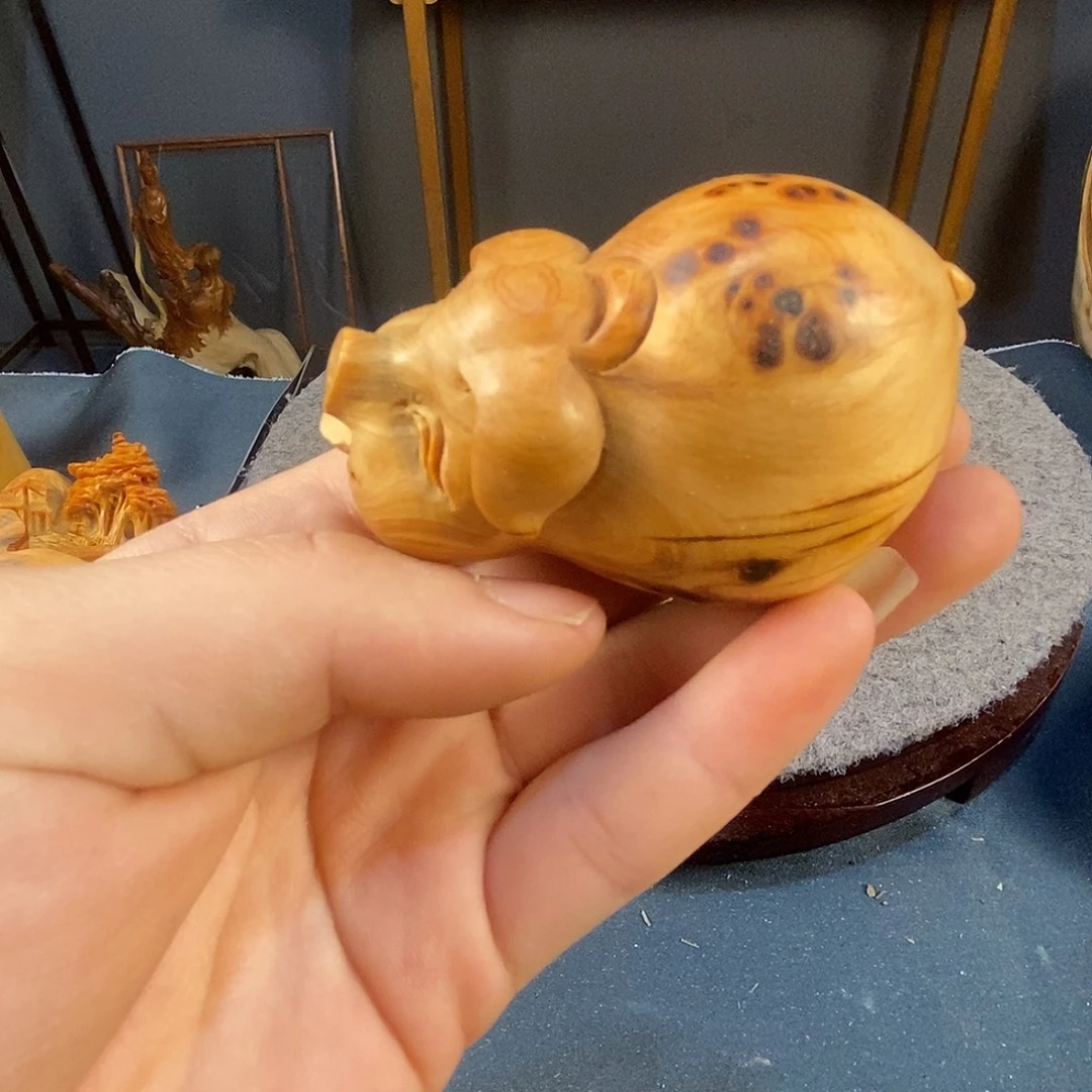 香榧木啊啊啊啊啊啊啊啊啊啊