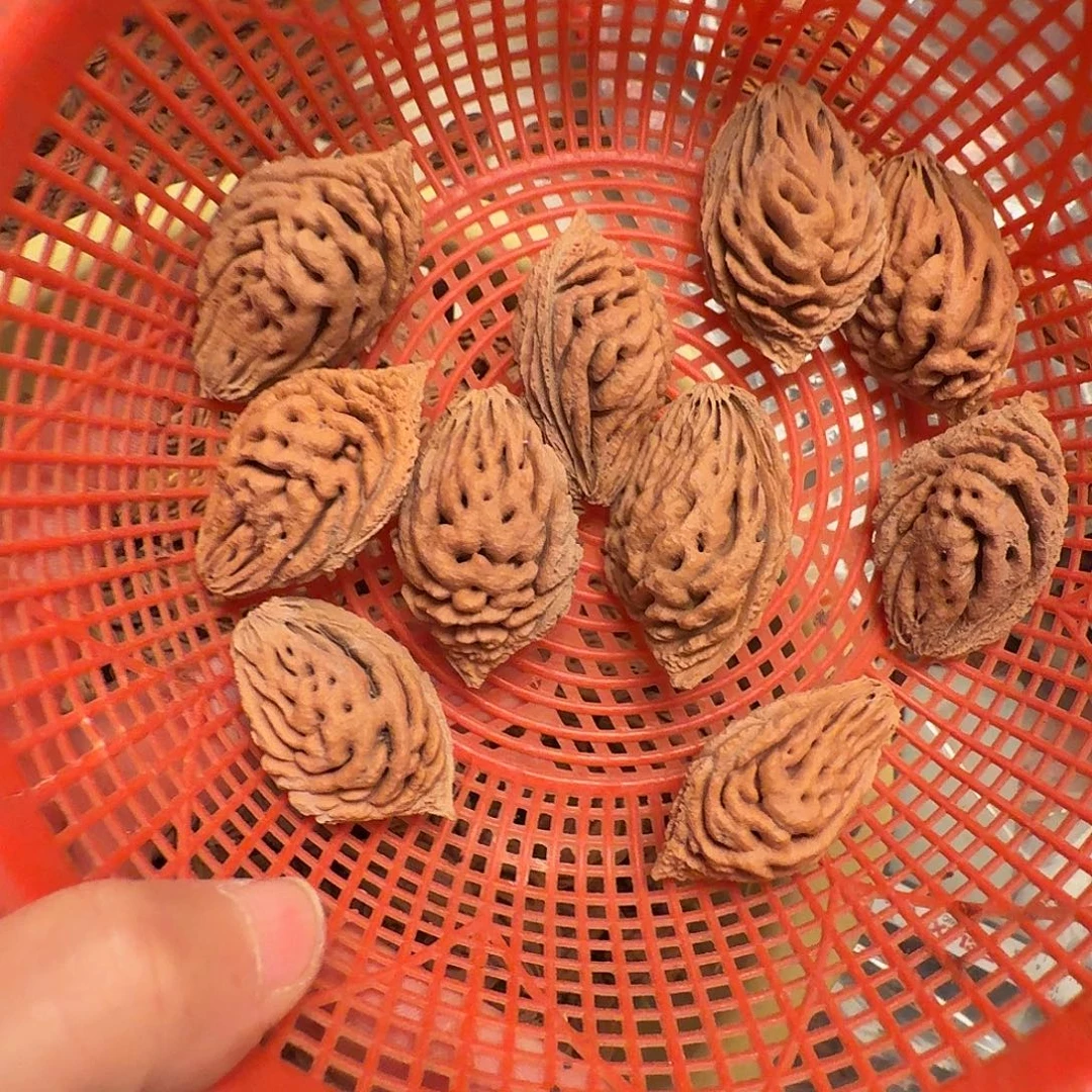 精品大桃核精打底10颗