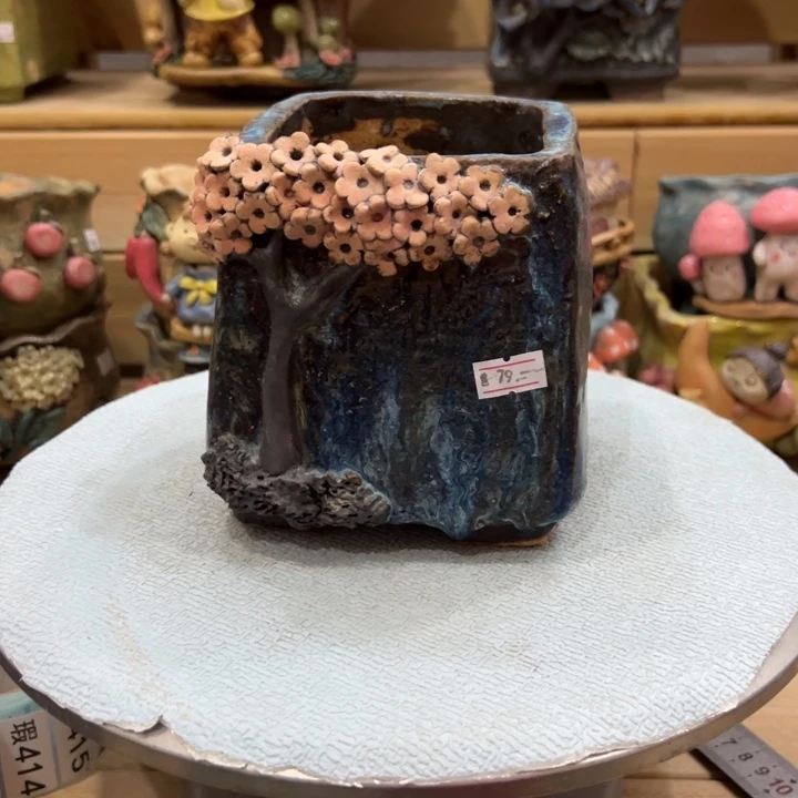 S****果陶然多肉花盆特价