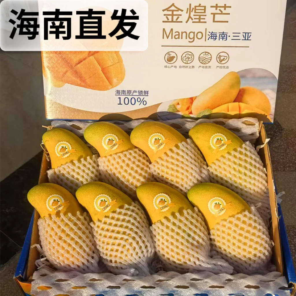 海南金煌芒果树上熟应当季新鲜水果无筋无丝软糯香甜适合自用包邮