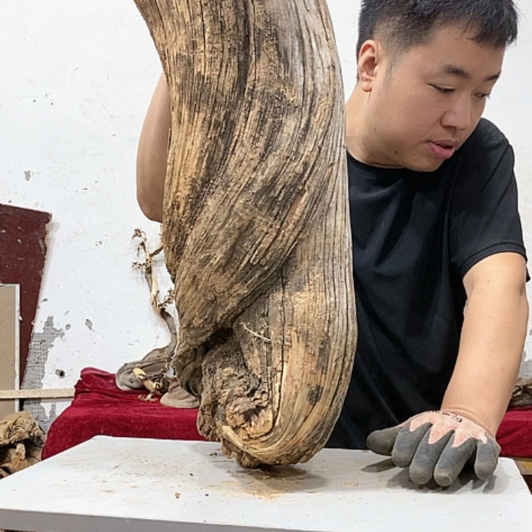 【闪购商品】柏木来*次我们都是好孩子
