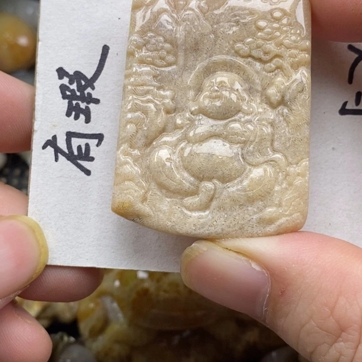 硅化珊瑚（珊瑚玉）未镶嵌颈饰