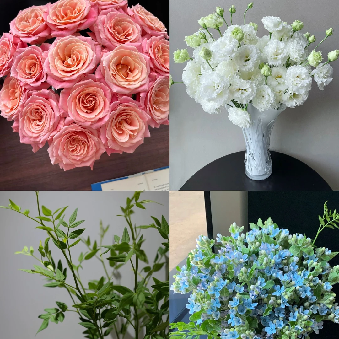 粉雾云海【朱小姐10+洋桔梗200g+蓝星花5支+九星叶3】鲜花次日达批发直播品质鲜花 全场任意满两单顺丰包邮