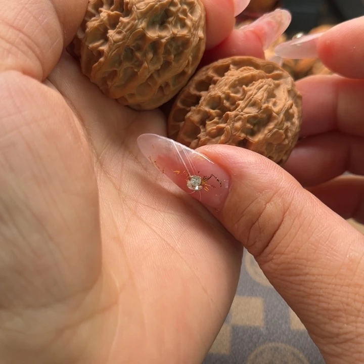 核桃36苹果园文玩