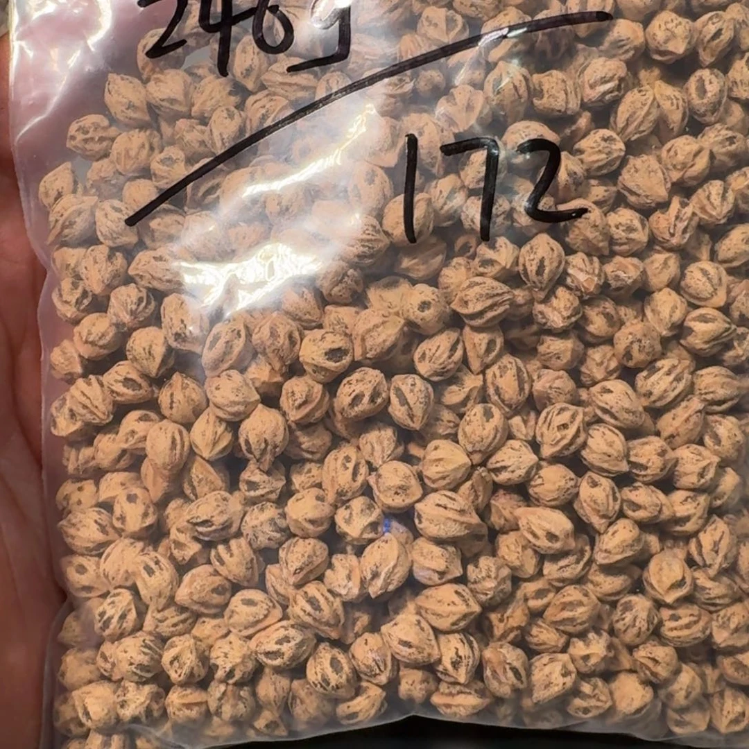 柏香籽/百香籽吊坠再**口