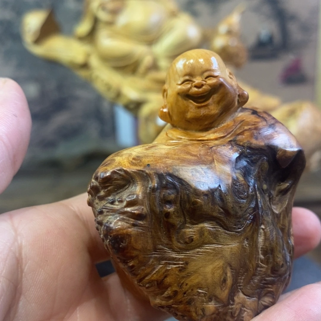 柏木（崖柏）崖柏11111