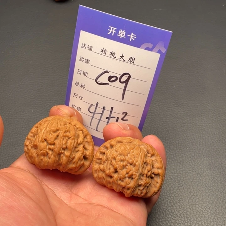 核桃白狮子41➕尺寸全品