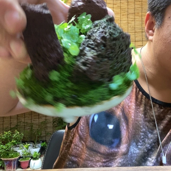 泡****活一物一拍所见即所得419