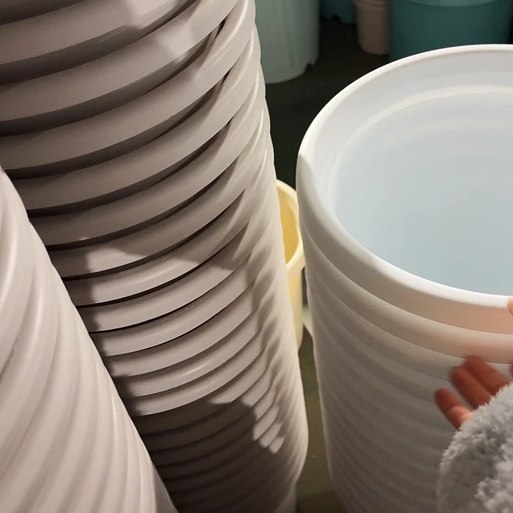 四季7号纯白无托6个特价