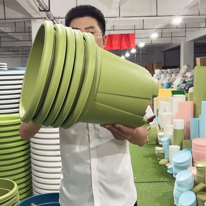 青山口32高28果绿5只无托