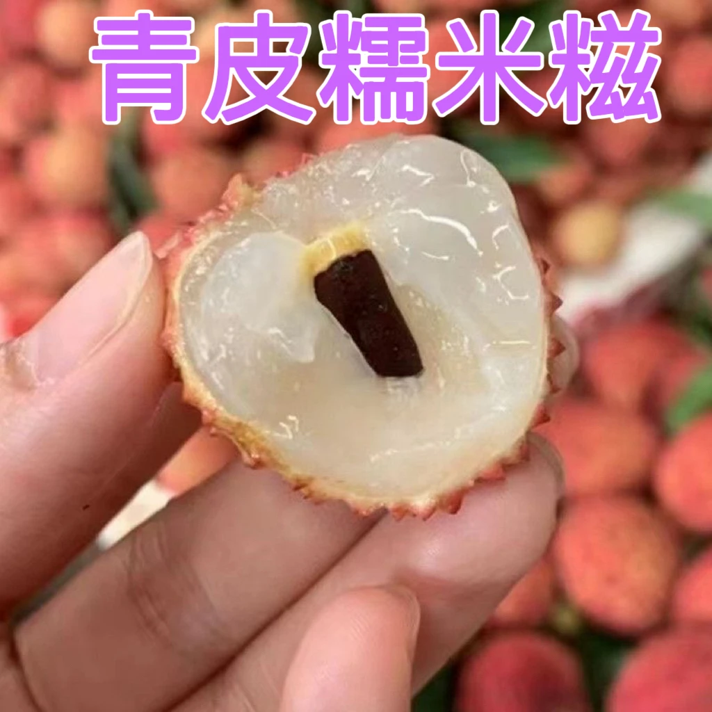 青皮糯米糍荔枝【顺丰冷链EMS空运】广西灵山新鲜现摘现发礼盒装