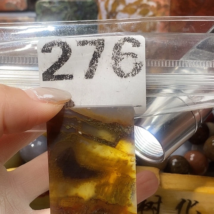 硅化玉未镶嵌天然北票树化玉吊坠