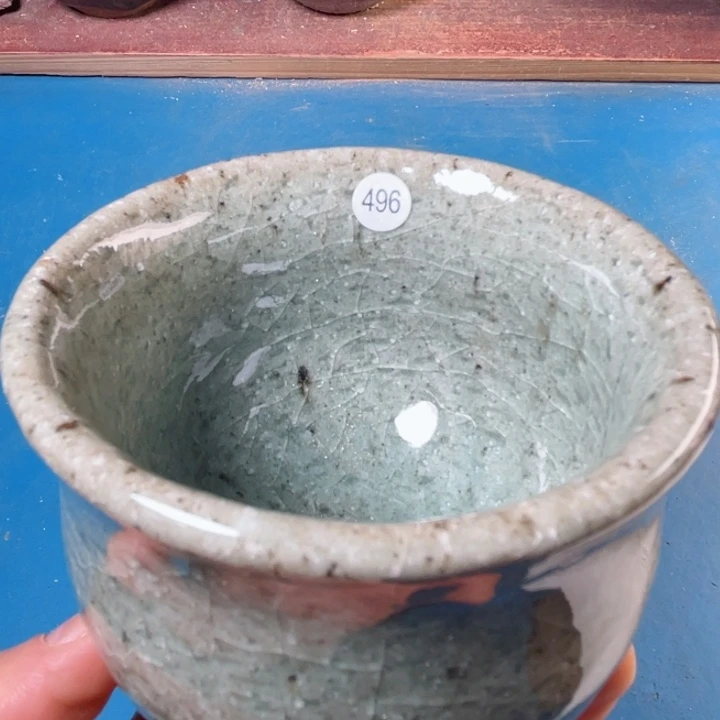 茶宠盏盏灯都是我的爱啊