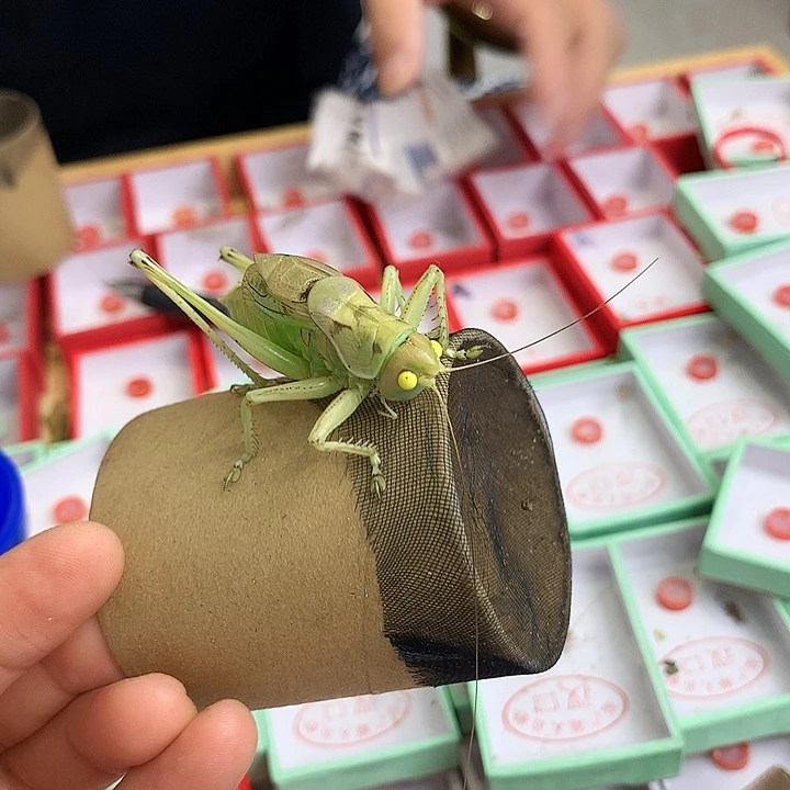 大**拉哈哈哈哈哈哈哈哈哈哈哈哈哈哈
