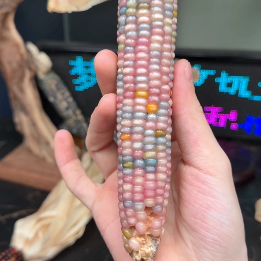 柏香籽/百香籽吊坠大***处