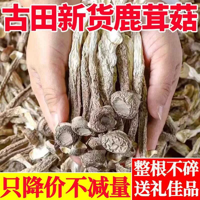 新鲜鲜珥家鹿茸菇干货菌菇煲汤食用菌食材香菇特产菇古田新脆脆菇