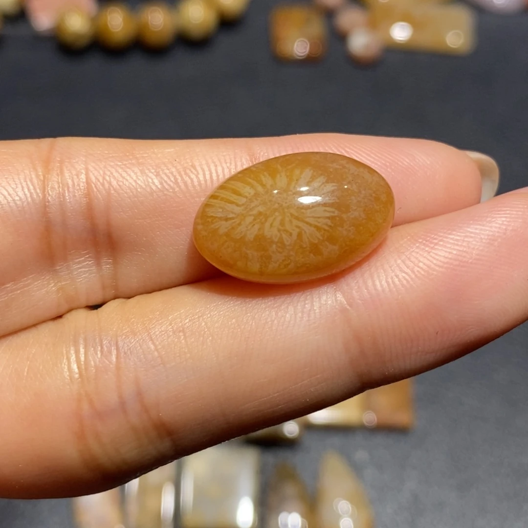 【闪购商品】未镶嵌珊瑚玉硅化玉