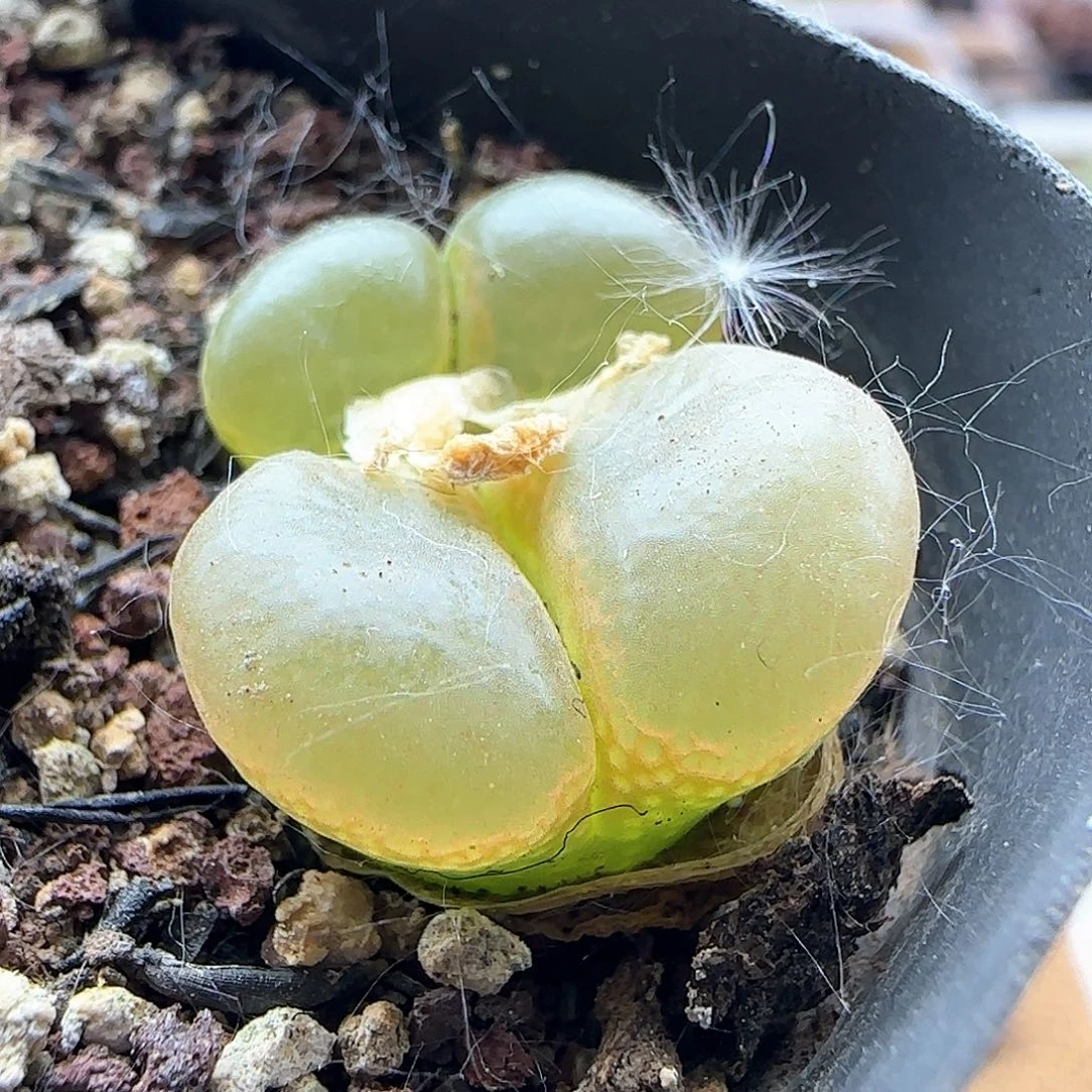 哈哈哈哈哈哈37493