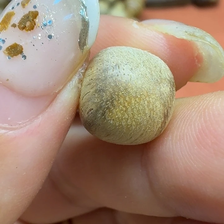 大叶紫檀（黑酸枝木类）