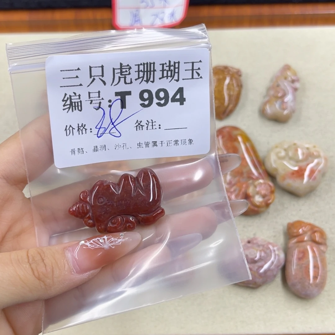****眠硅化珊瑚（珊瑚玉）h未镶嵌