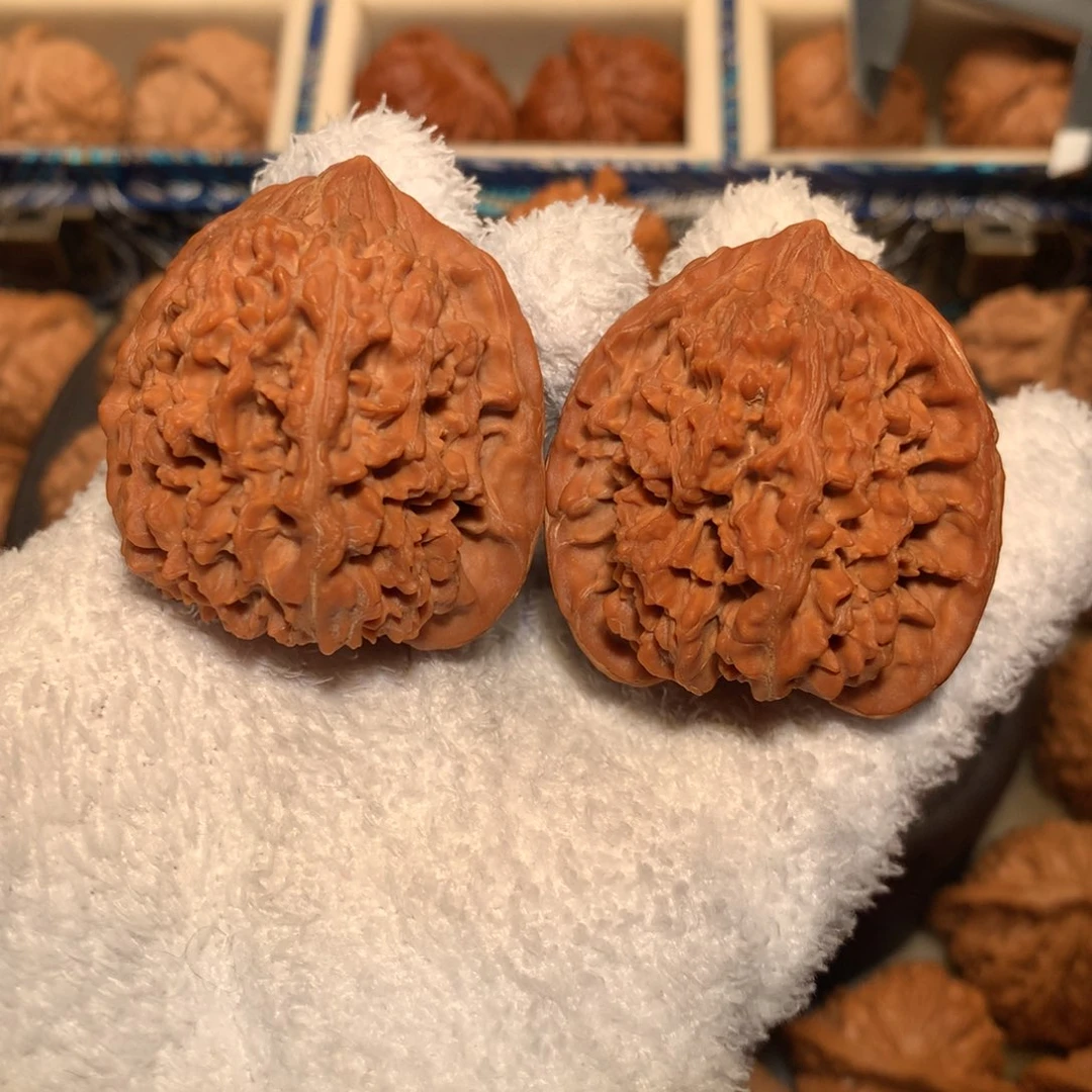 把件文玩核桃41全品 老树满天星