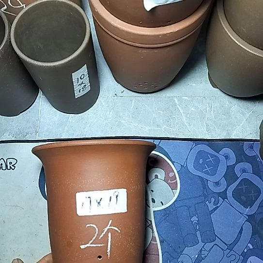 红泥小金钟两个花盆